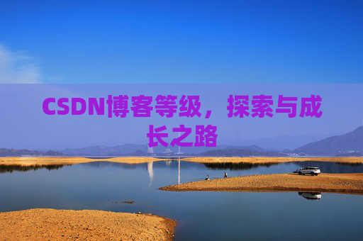 CSDN博客等级，探索与成长之路